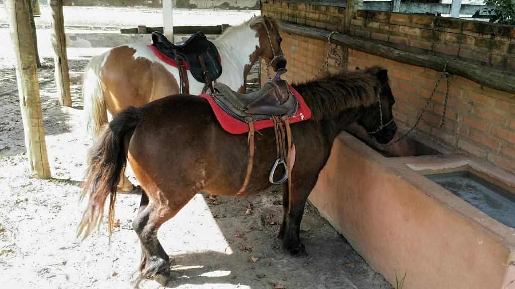 Pousada Suítes Águas de São Pedro Esterno foto